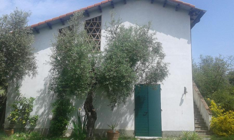 Albachiara Bed and breakfast Sarzana